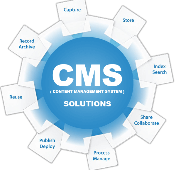 CMS & CRM Solutions Services